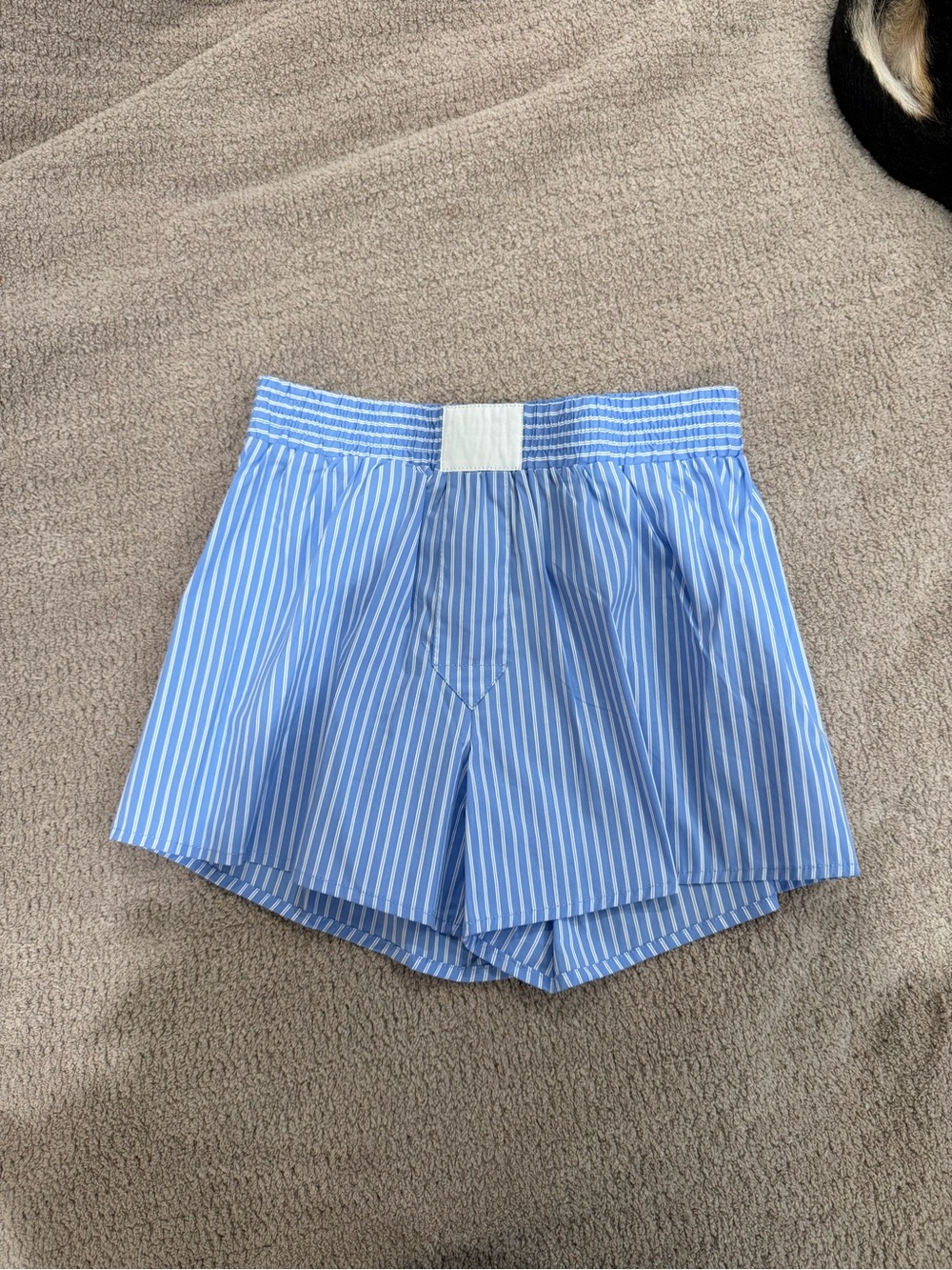 Light Blue and White Pinstripe Elastic-Waist Shorts